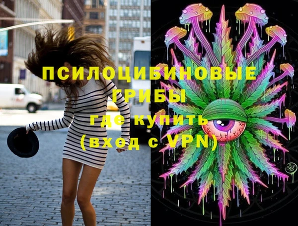 амф Аркадак