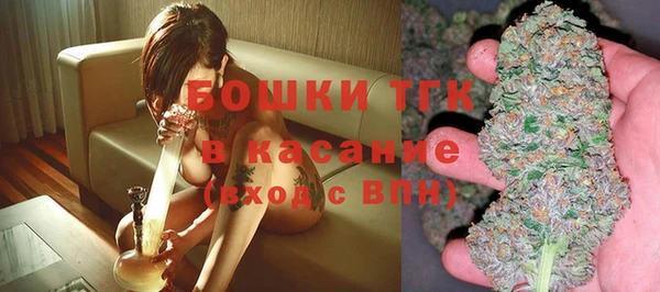 амф Аркадак