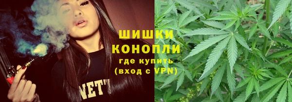 амф Аркадак