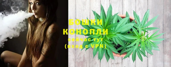 соль курить ск Ладушкин