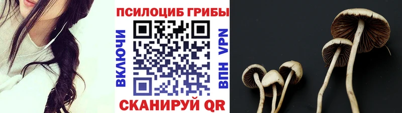 купить закладку  hydra как войти  Псилоцибиновые грибы Psilocybe  Инта 